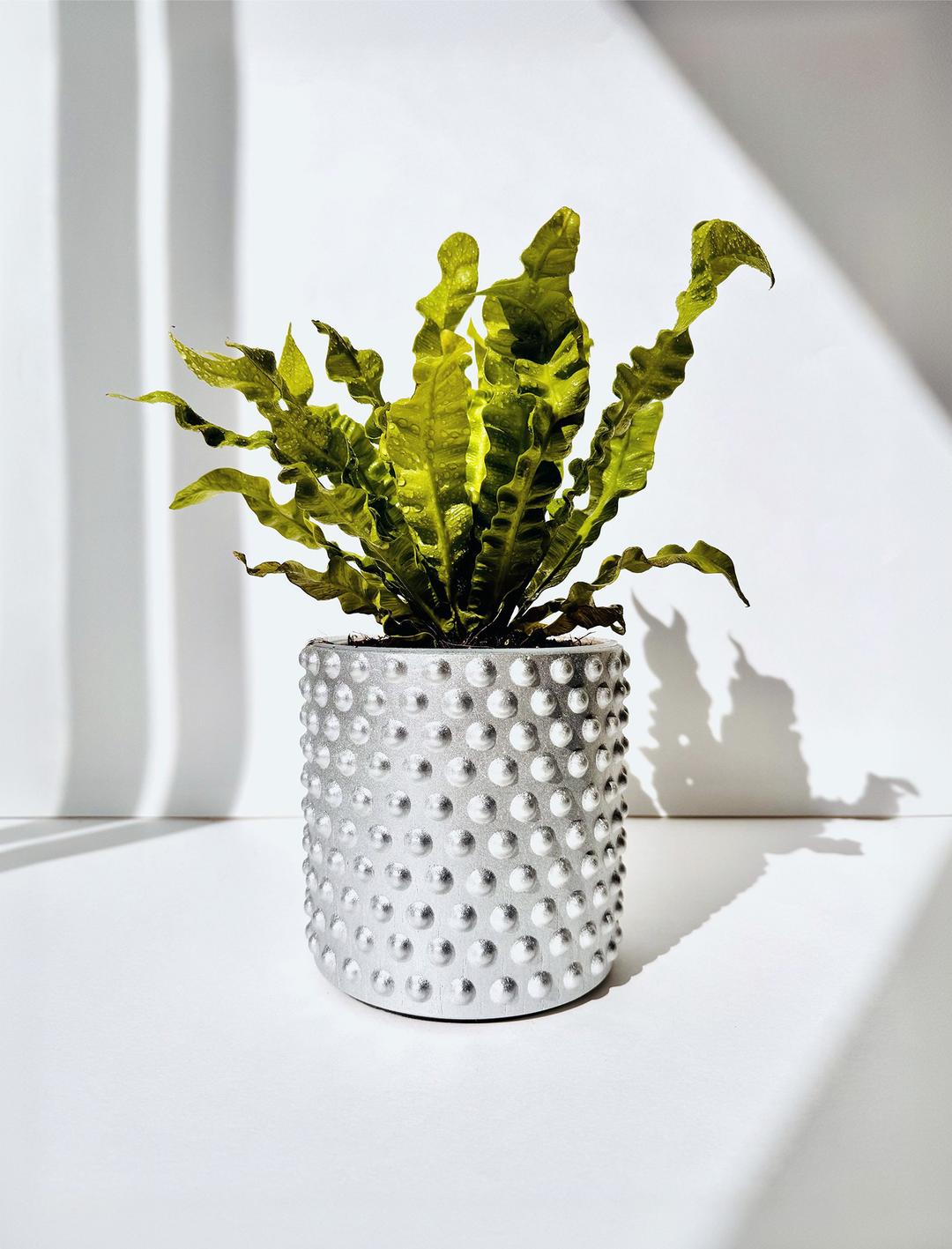 product-card-image