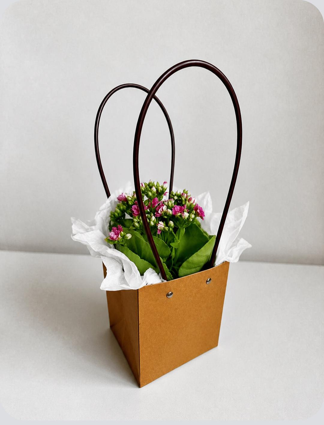 product-card-image
